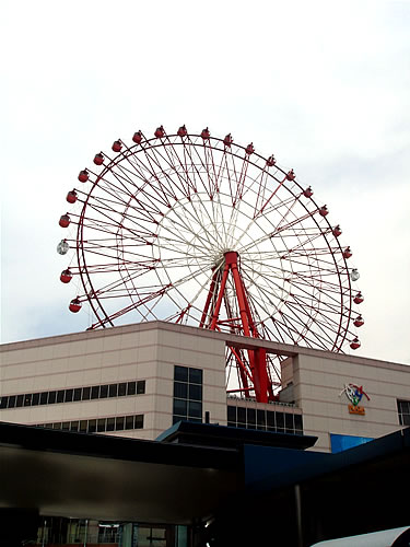 2007.6.11　鹿児島旅行(最終日)_d0078656_8445456.jpg