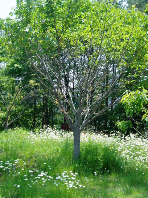 e0064158_0271525.jpg
