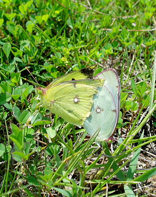 e0064158_030213.jpg