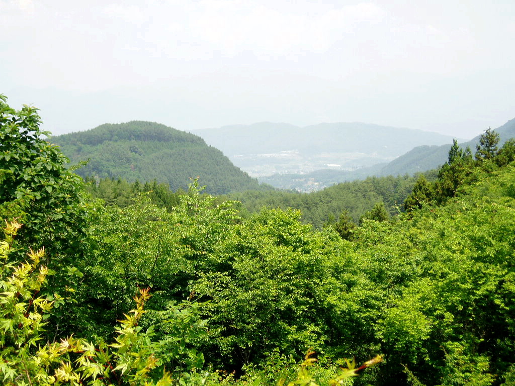 e0064158_0321536.jpg