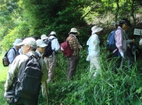 c0108460_1123970.jpg