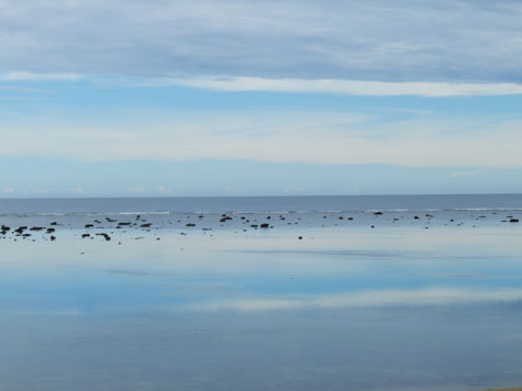 e0028387_15348.jpg