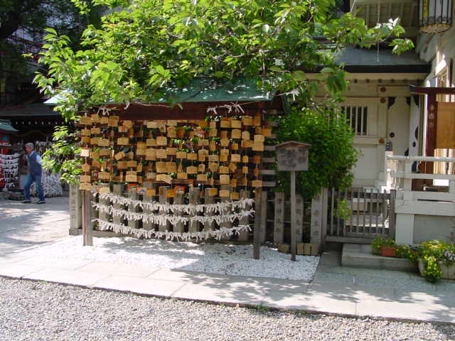 a0050593_27239.jpg