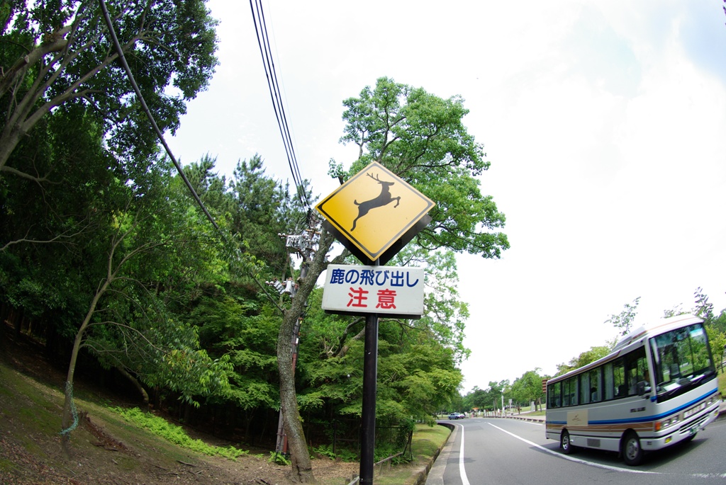 e0099496_1829577.jpg