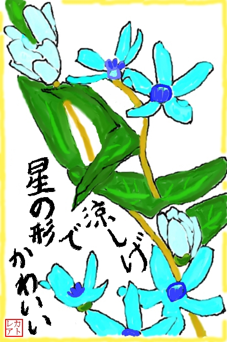 絵手紙 初夏 オキシペタルム ルリトウワタ 瑠璃唐綿 ブルースター ガガイモ科 花と自然の散歩道 絵手紙 初夏 オキシペタルム ルリトウワタ 瑠璃唐綿 ブルースター ガガイモ科 花と自然の散歩道