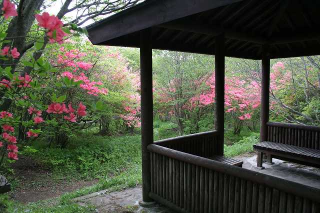 那須八幡崎へ・・・_d0075404_194952.jpg