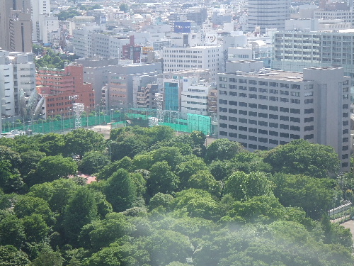 e0093518_17534518.jpg