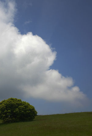 d0107929_924476.jpg
