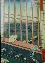 メトロポリタンの猫たち : Something to spice up my life