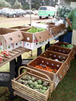 ＊今日が楽しい暮らし　ということ　　,Waimea and Honoka\'a Hawaii_a0030038_655132.jpg
