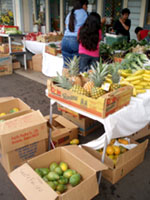 ＊今日が楽しい暮らし　ということ　　,Waimea and Honoka\'a Hawaii_a0030038_661293.jpg