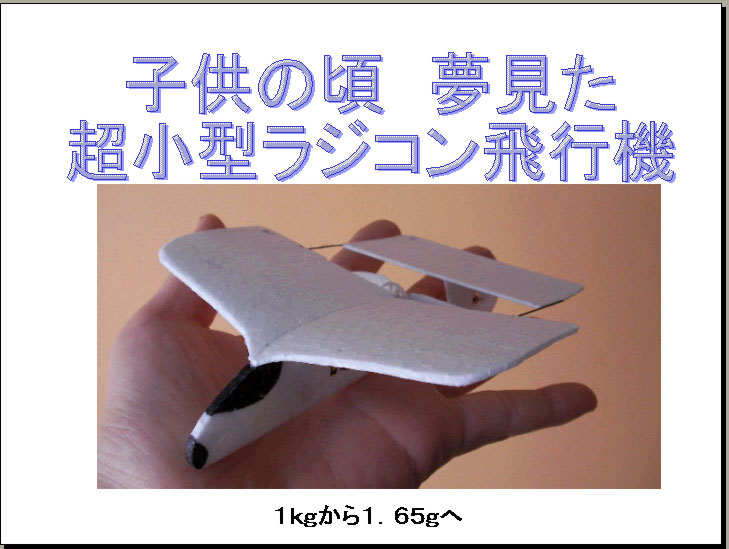 6月16日 所沢航空発祥記念館にて_d0067943_1155243.jpg