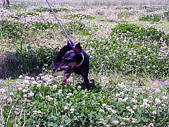 c0123149_8573623.jpg