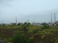 c0108460_1545517.jpg