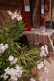 f0120569_2251799.jpg