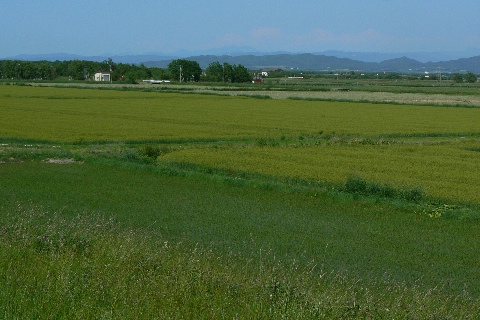 北広島の風景_b0068572_103355.jpg