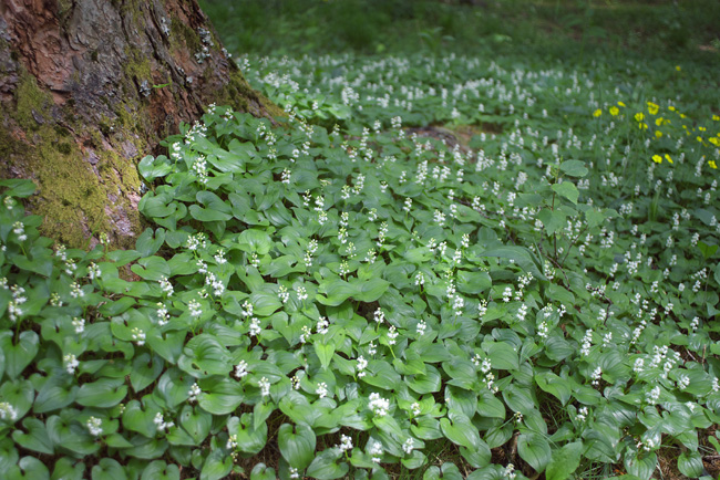 c0054876_1833498.jpg