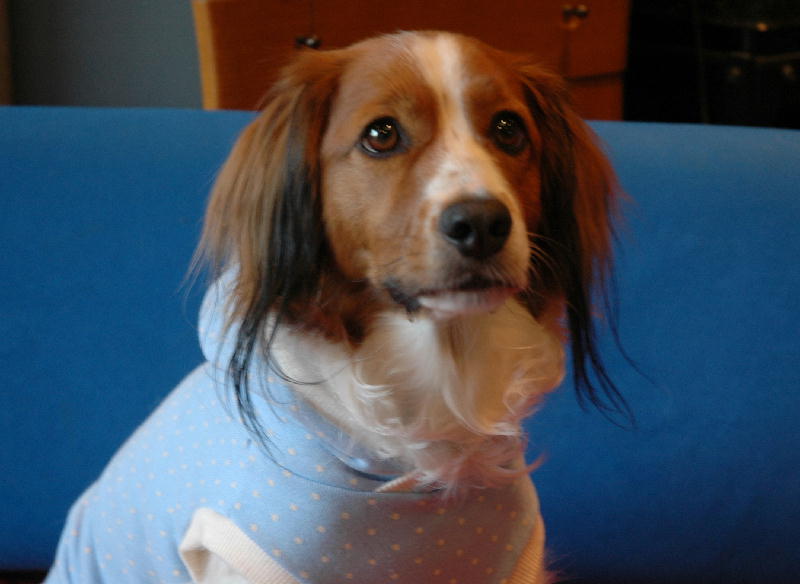 c0075585_8362340.jpg