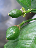 f0024090_17122964.jpg