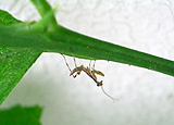 f0024090_17154981.jpg