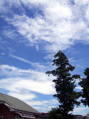 e0034994_036372.jpg