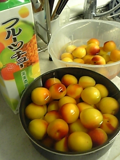 e0073808_2361654.jpg
