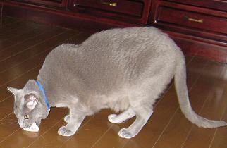 c0066610_11281621.jpg
