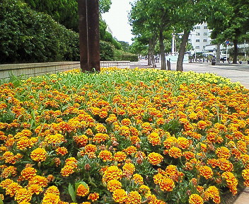 d0065116_23204577.jpg