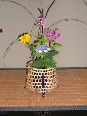 茶花 5月 6月 裏千家流 お茶のサロン