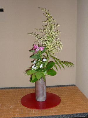 茶花 5月～6月 : 裏千家流 お茶のサロン