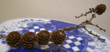 e0096331_041314.gif