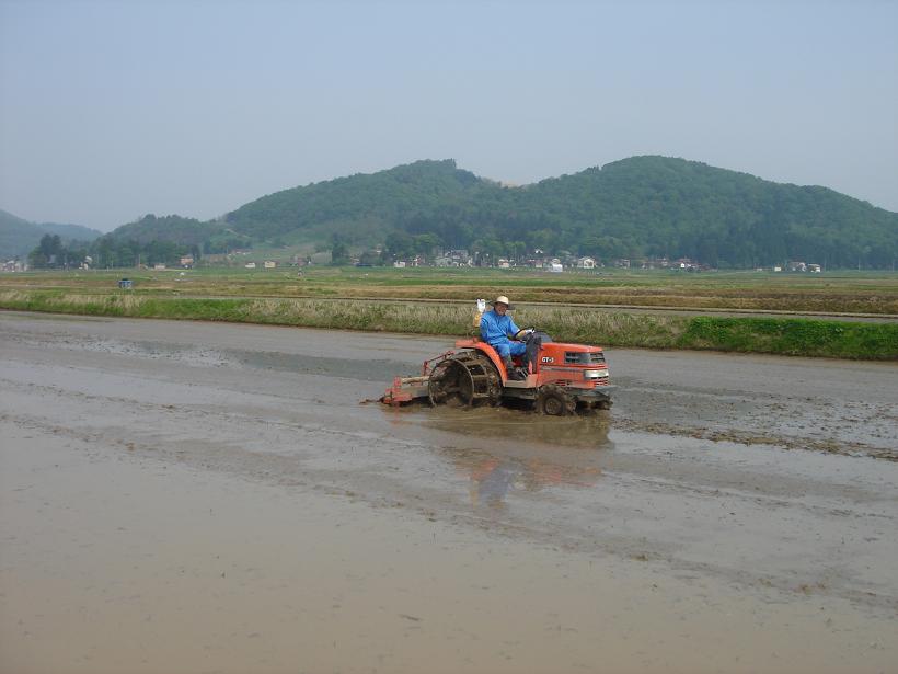 田植え作業_f0131535_15275817.jpg