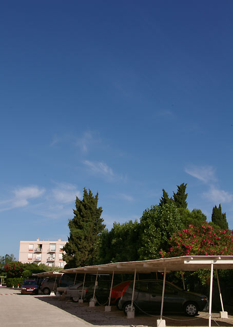 d0024242_15636.jpg