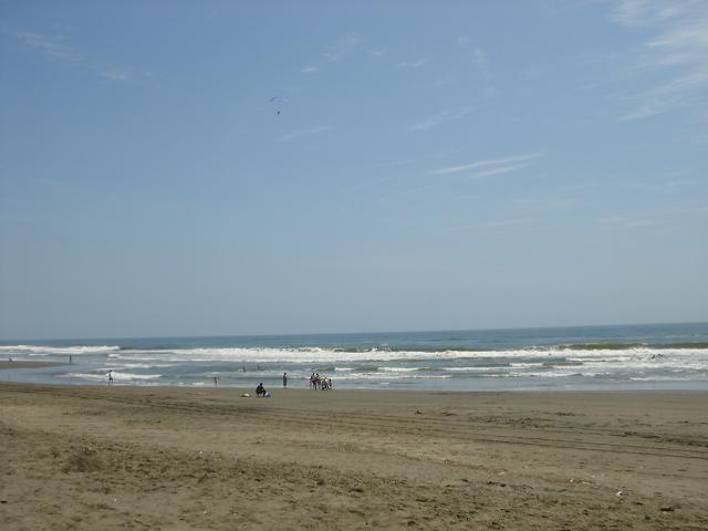 e0028248_205968.jpg