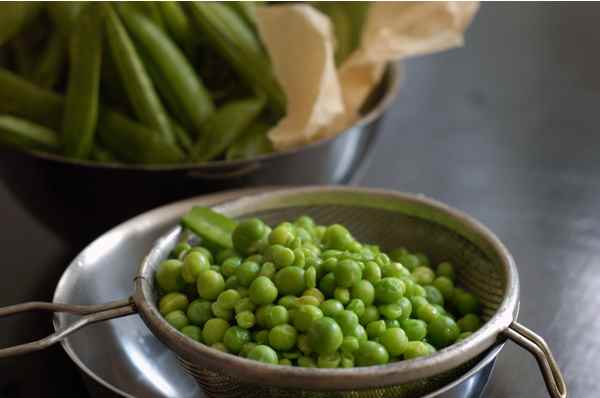 旬を食べる Enjoy Seasonal Local Food_d0047851_53346.jpg