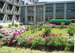 f0009457_22544568.jpg