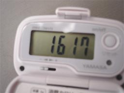 飛田給のおもひで_c0024176_130258.jpg