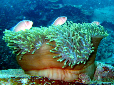 a0002177_16807.jpg