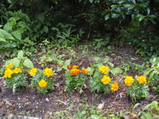 f0130894_22192587.jpg