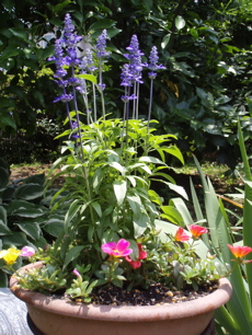 f0130894_22341420.jpg