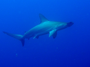 c0097095_16203485.jpg