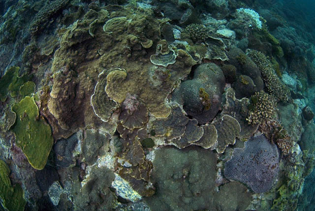 c0035399_21505658.jpg
