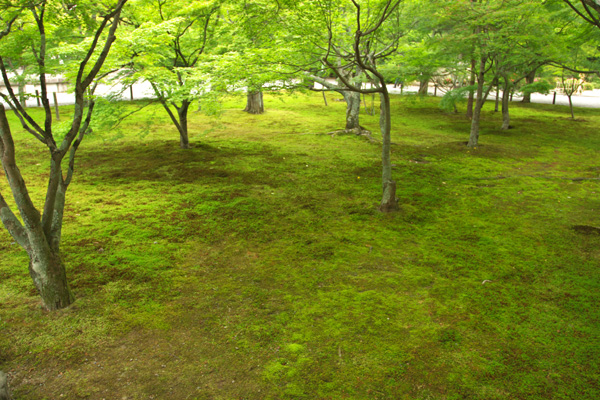 b0043304_22274293.jpg