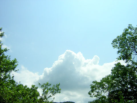 d0088611_0431047.jpg