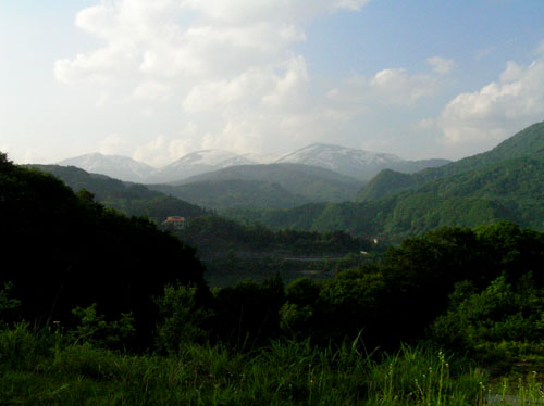 月山 ブナの森_e0048413_2171678.jpg