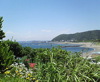 d0065116_2249631.jpg