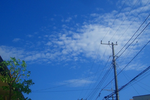d0094416_23395622.jpg