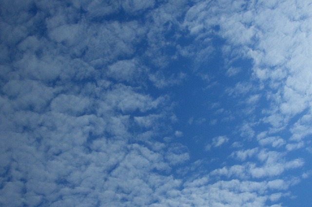 d0094416_23412635.jpg
