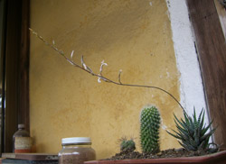 f0086618_1062392.jpg