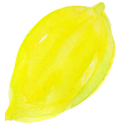 f0135024_13175683.jpg